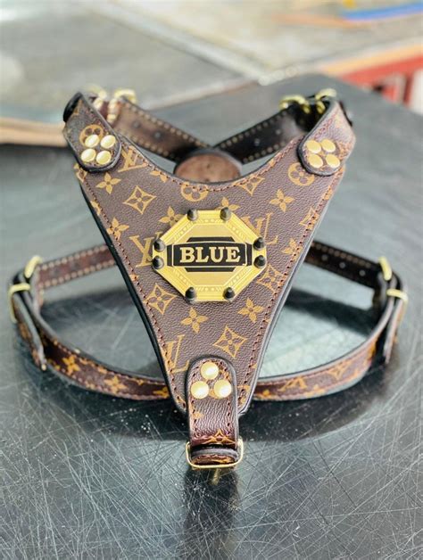 louis vuitton kitten collar|Louis Vuitton pet collar.